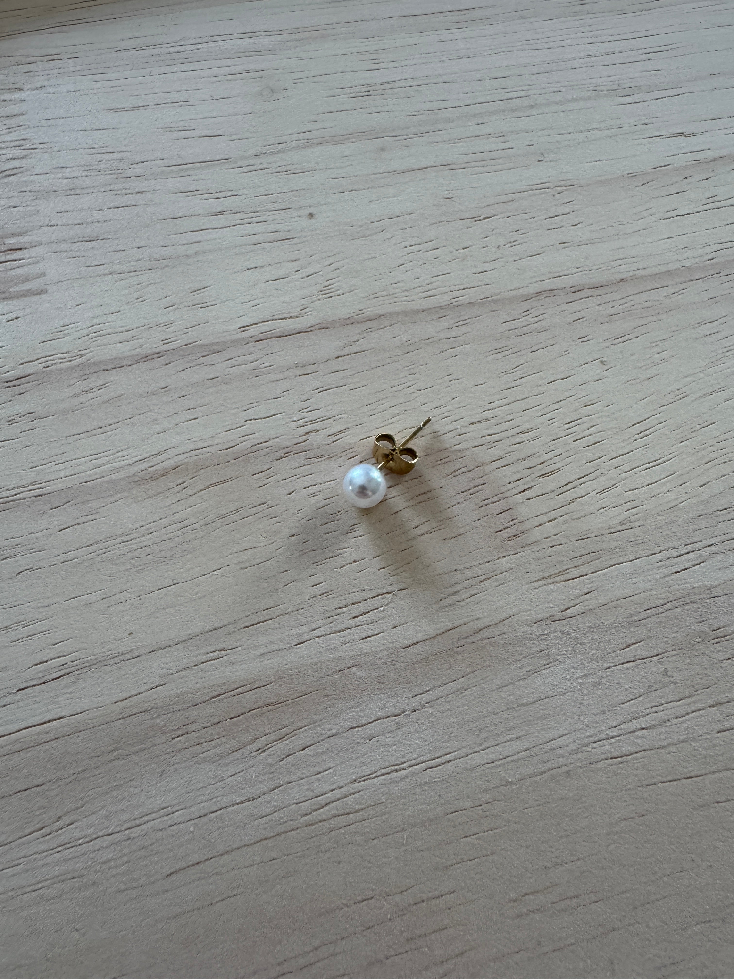 Puce d’oreille « Sidney »